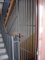 DSC01029